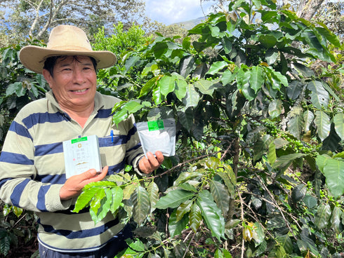 JAS Organic Peru Cochapampa Drip Bag